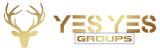 Yes Yes Tours and Travels